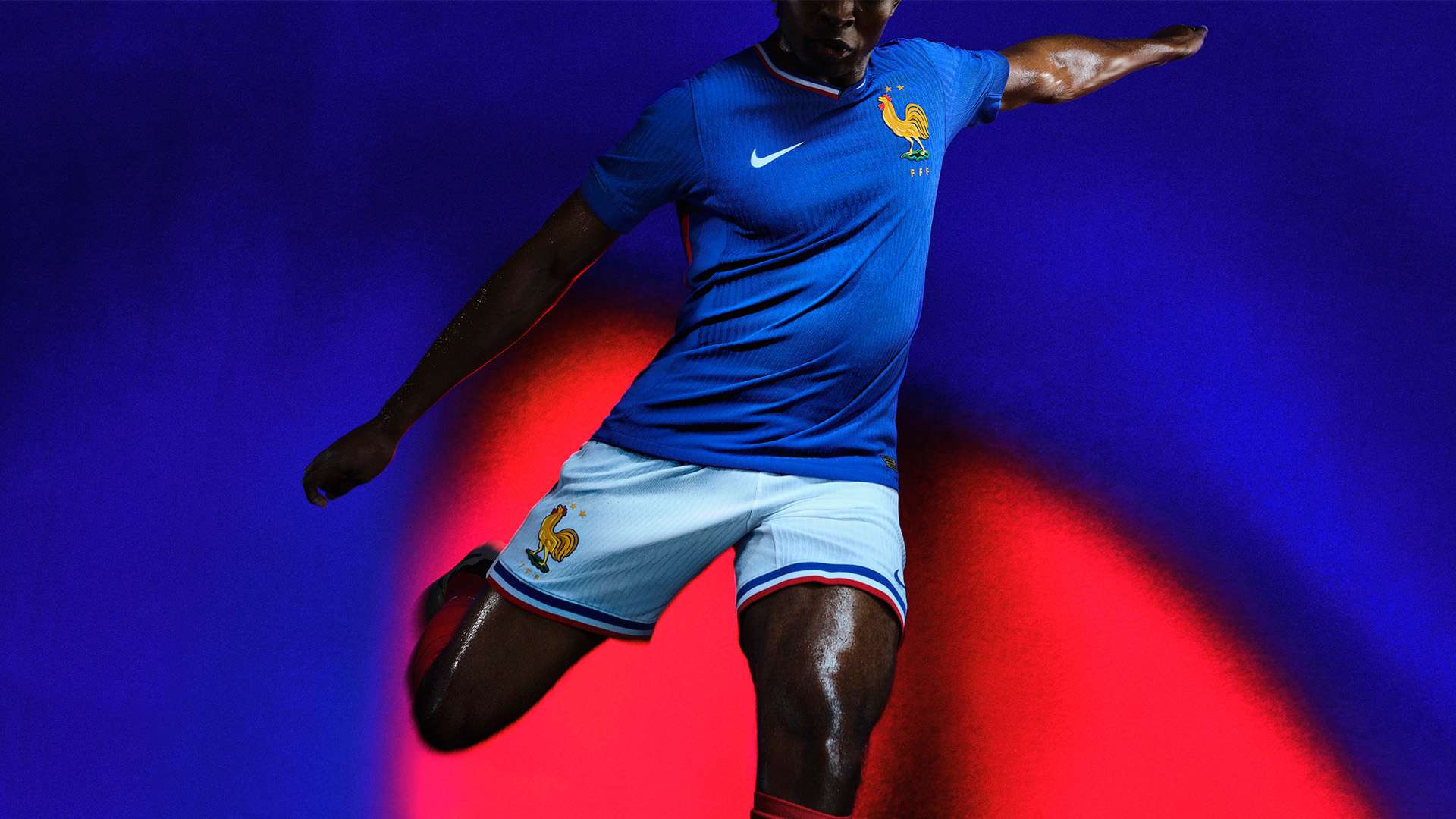 僅令伯恩茅 僅令伯恩茅